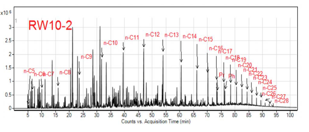Χρωματογράφημα συνολικού ιόντος (TIC) του δείγματος RW10-2